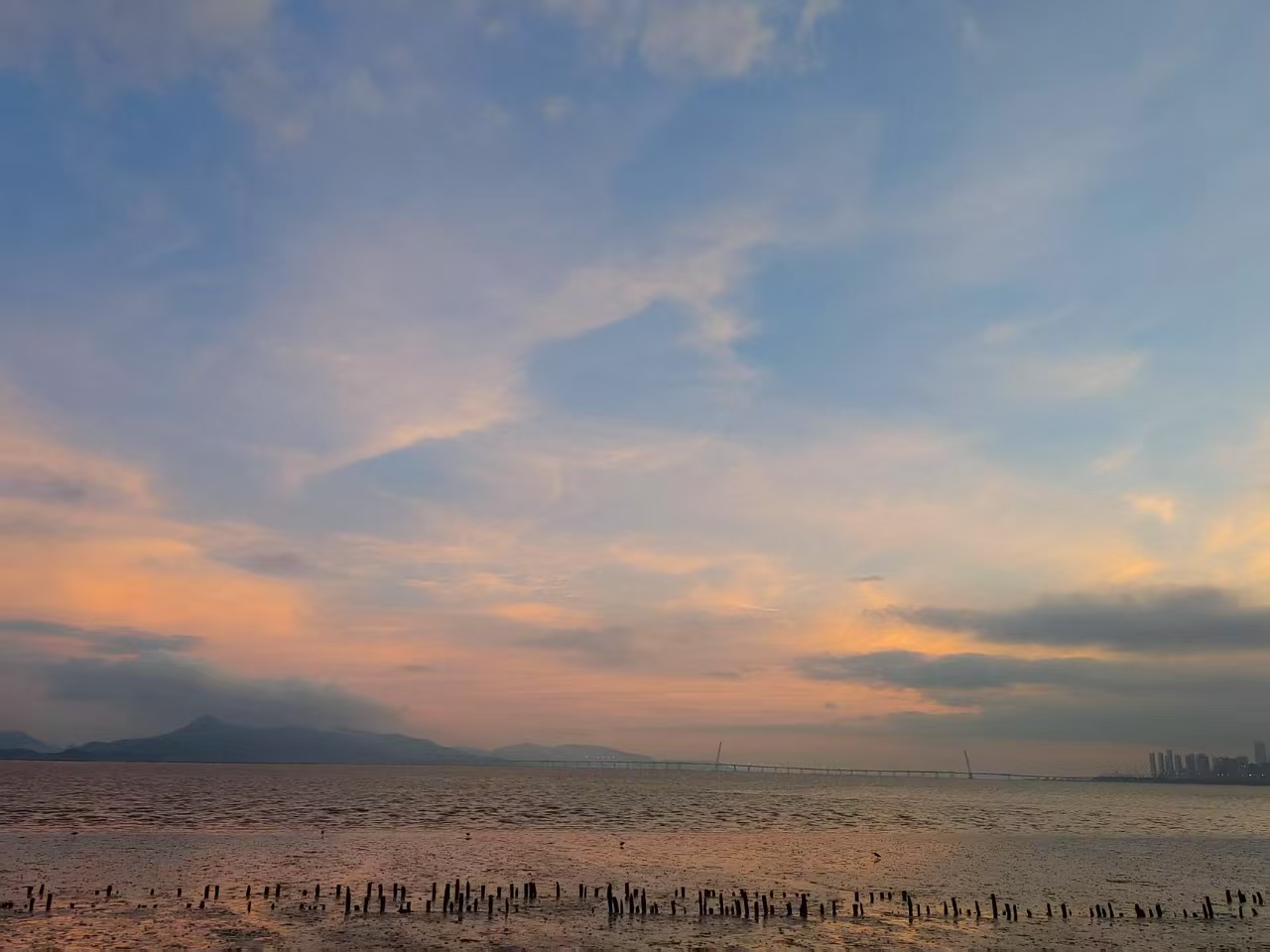 深圳湾公园 深圳湾公园